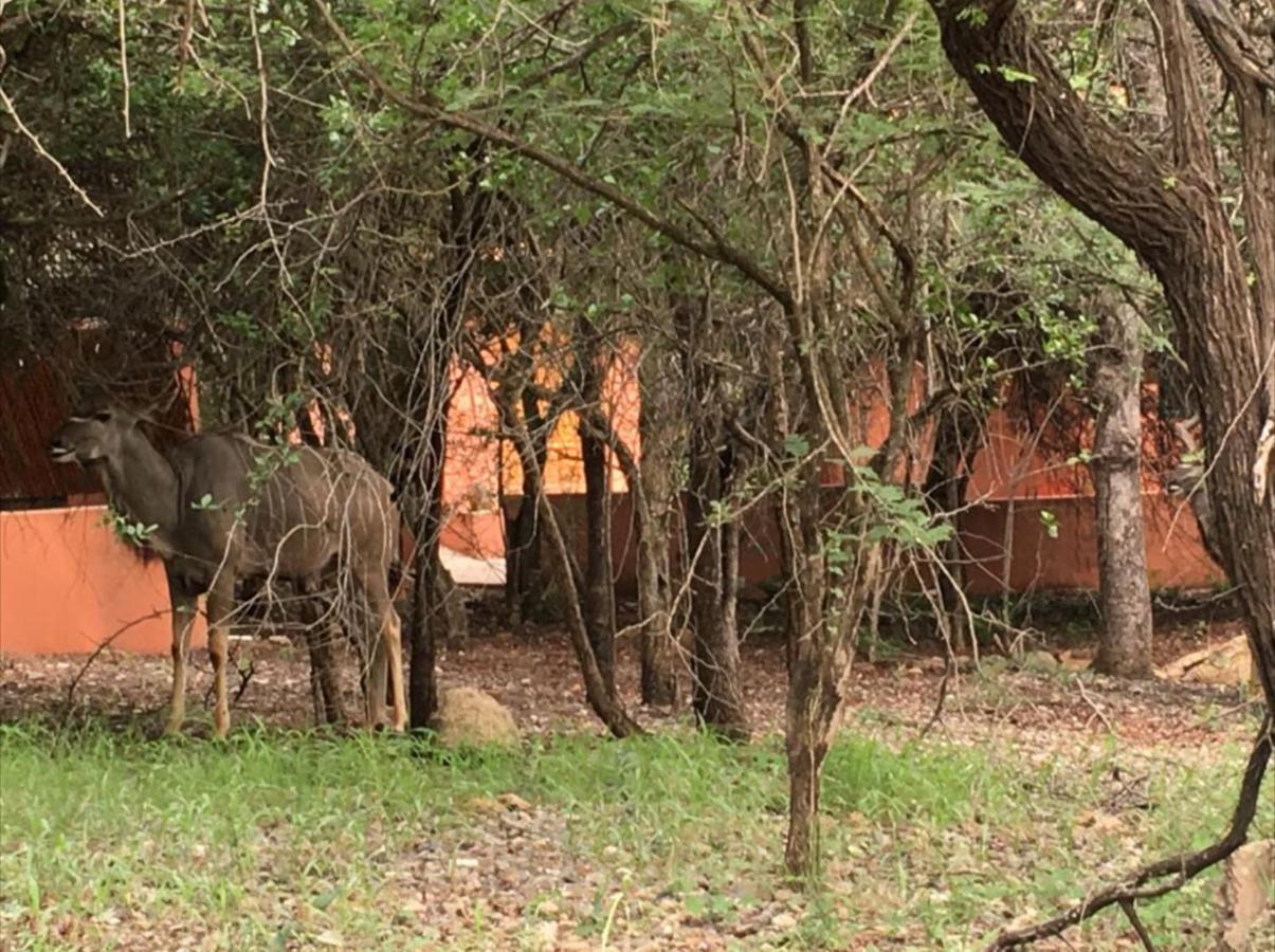 John And Noleen'S Place Marloth Park Luaran gambar